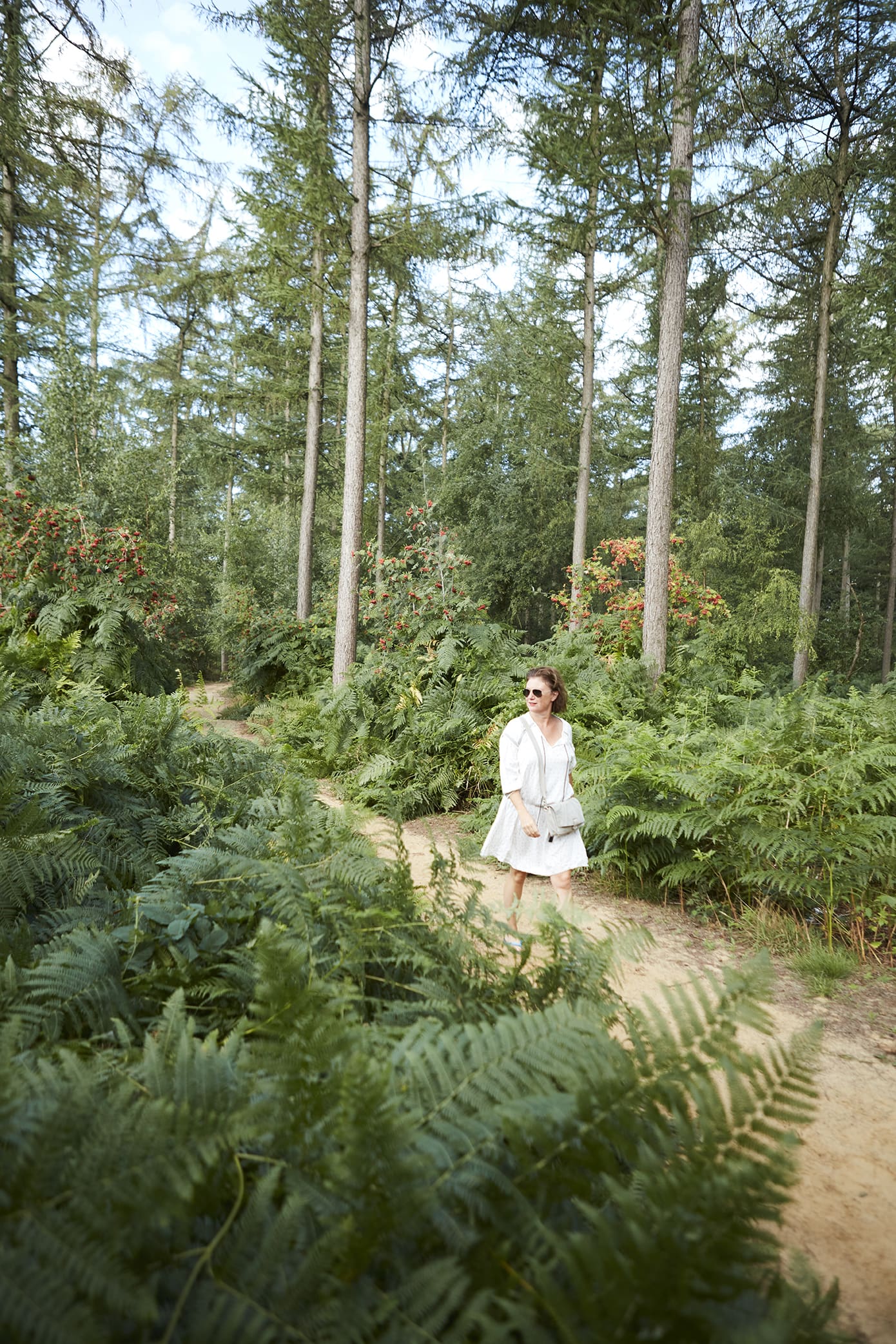 wandelnetwerk-brugge